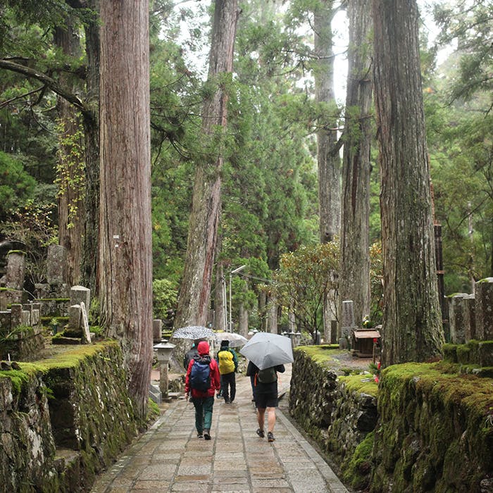 【募集開始】<br>HLC関西 町石道<br>ローカルスタディハイキング<br>6月5日開催